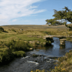 Wild Swimming and Nature Walks in Dartmoor National Park