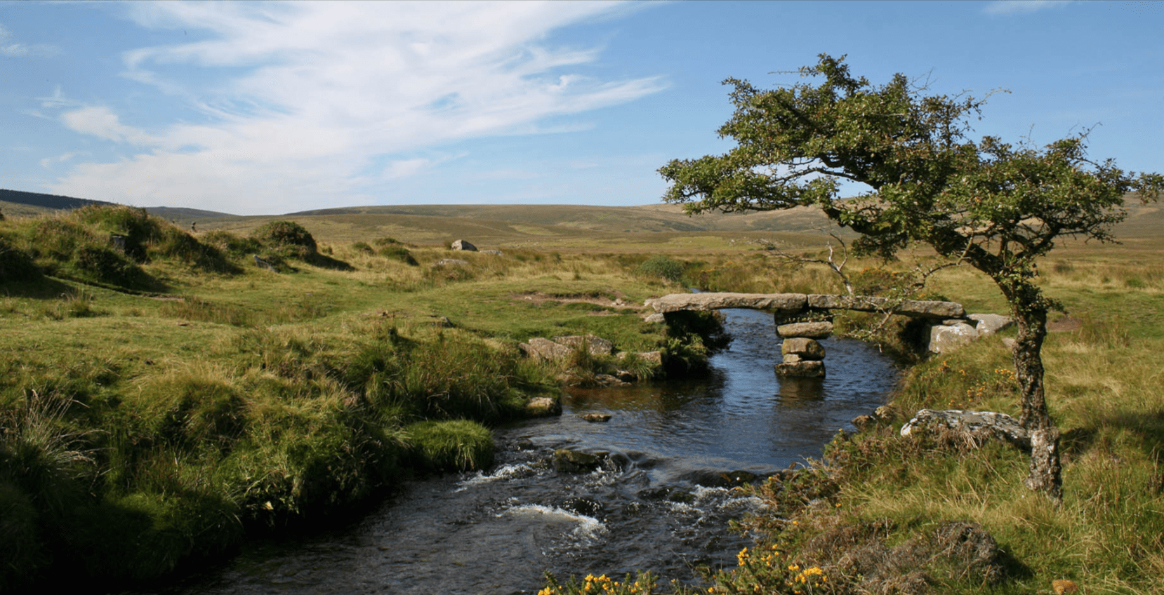 Wild Swimming and Nature Walks in Dartmoor National Park